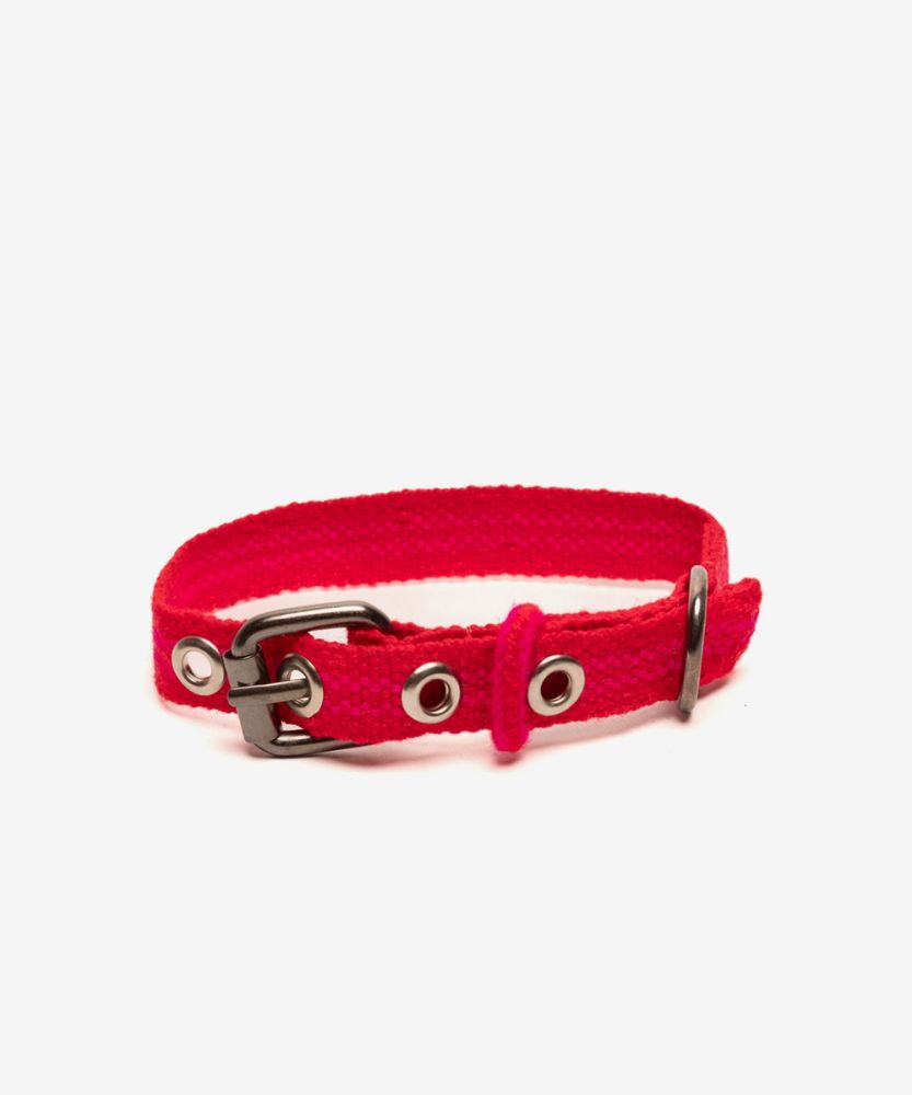 COLLAR DE PERRO TOY - FUCSIA 