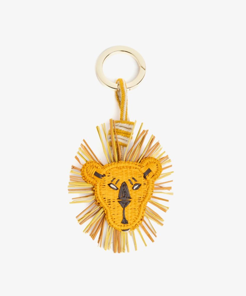 CHARM - IRACA - LION
