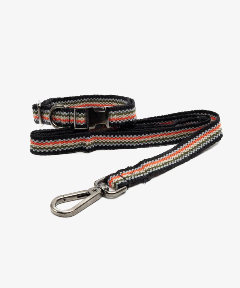 PACK DOG COLLAR + LEASH