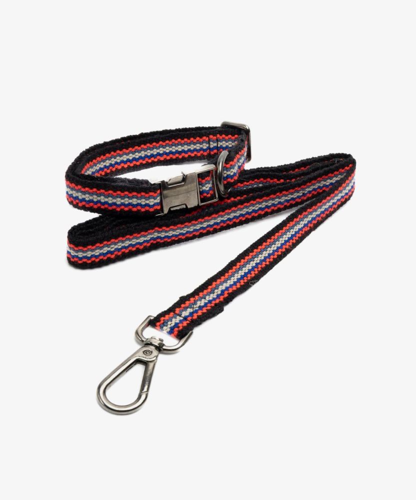 PACK DOG COLLAR + LEASH