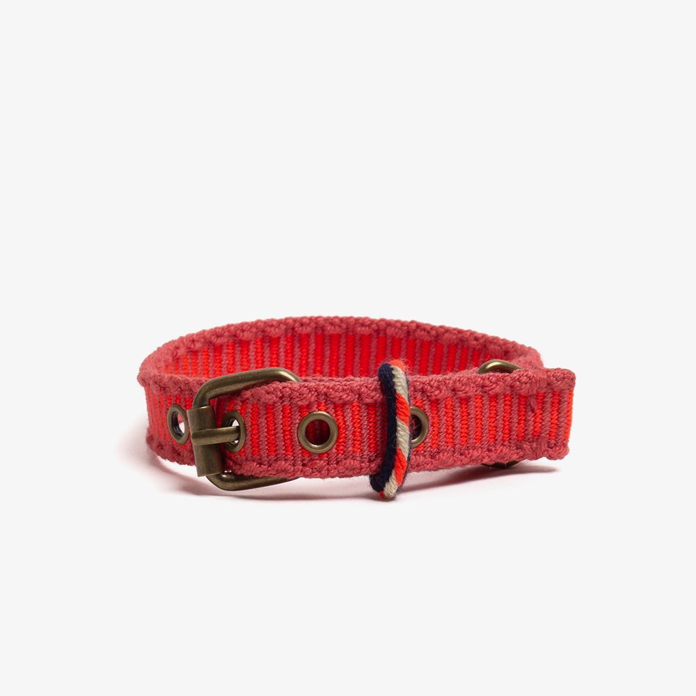 COLLAR DE PERRO TOY - ROSA FLUOR