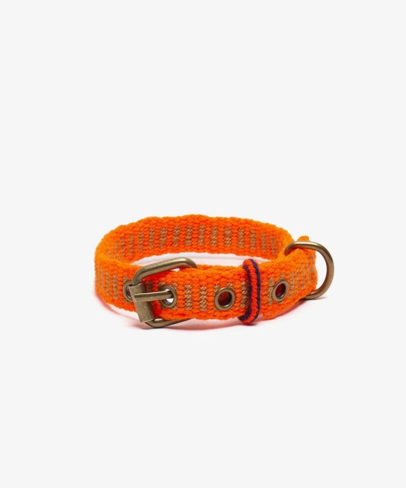 COLLAR DE PERRO TOY - NEON NARANJA