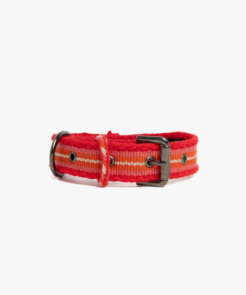 DOG COLLAR- S