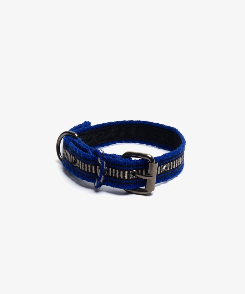 DOG COLLAR- MED BLUE & WHITE