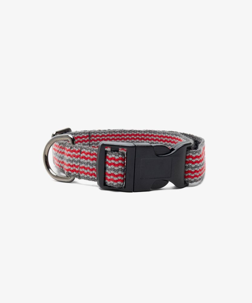 COLLAR DE PERRO MEDIANO - GRIS Y ROJO