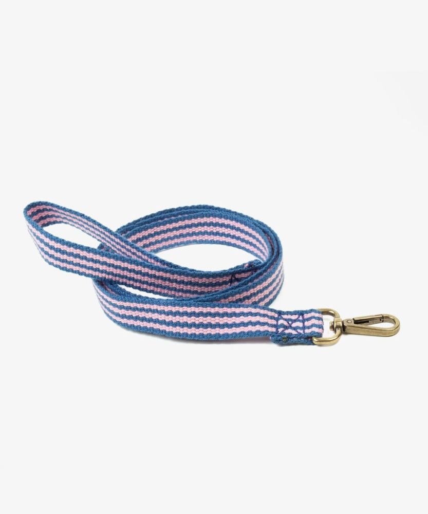 CORREA PARA PERRO MEDIANO - AZUL Y ROSA