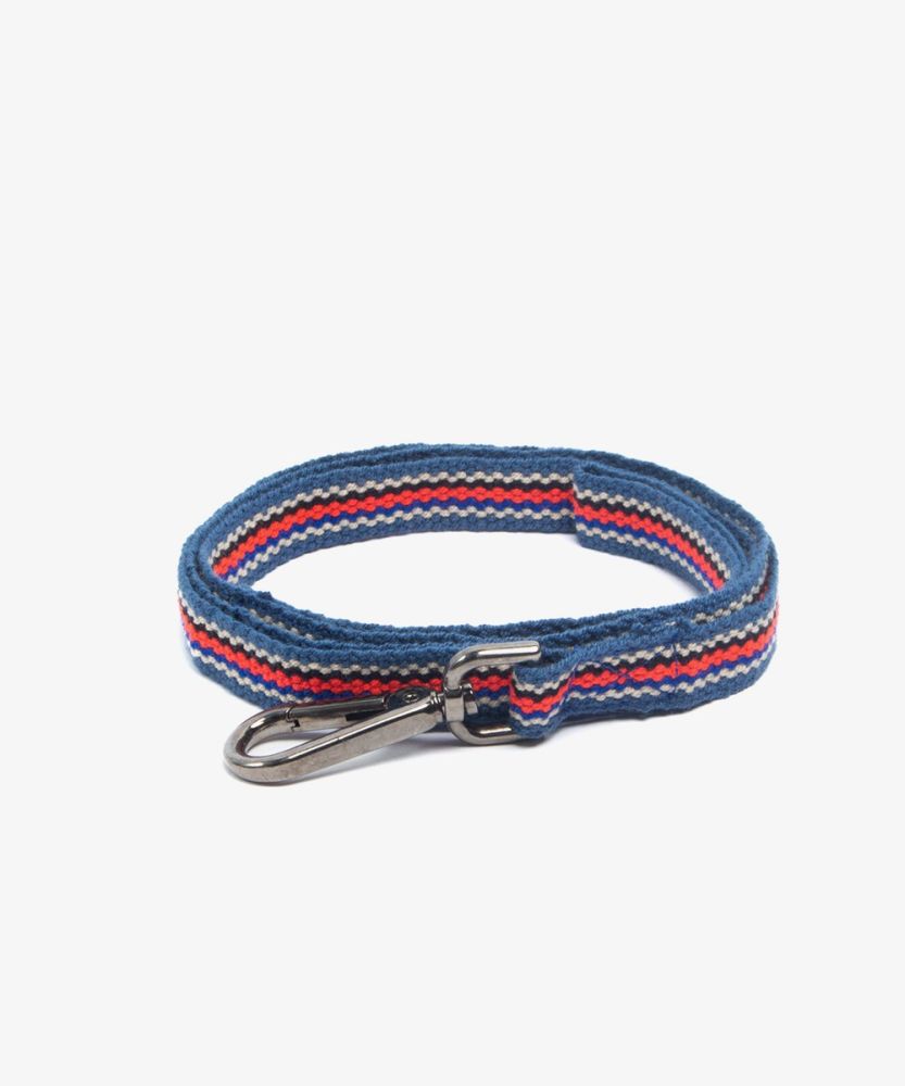 CORREA PARA PERRO PEQ/MED - COLOR AZUL, NARANJA.....