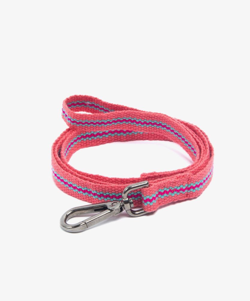 CORREA PARA PERRO PEQ/MED - COLOR ROSA Y AZUL