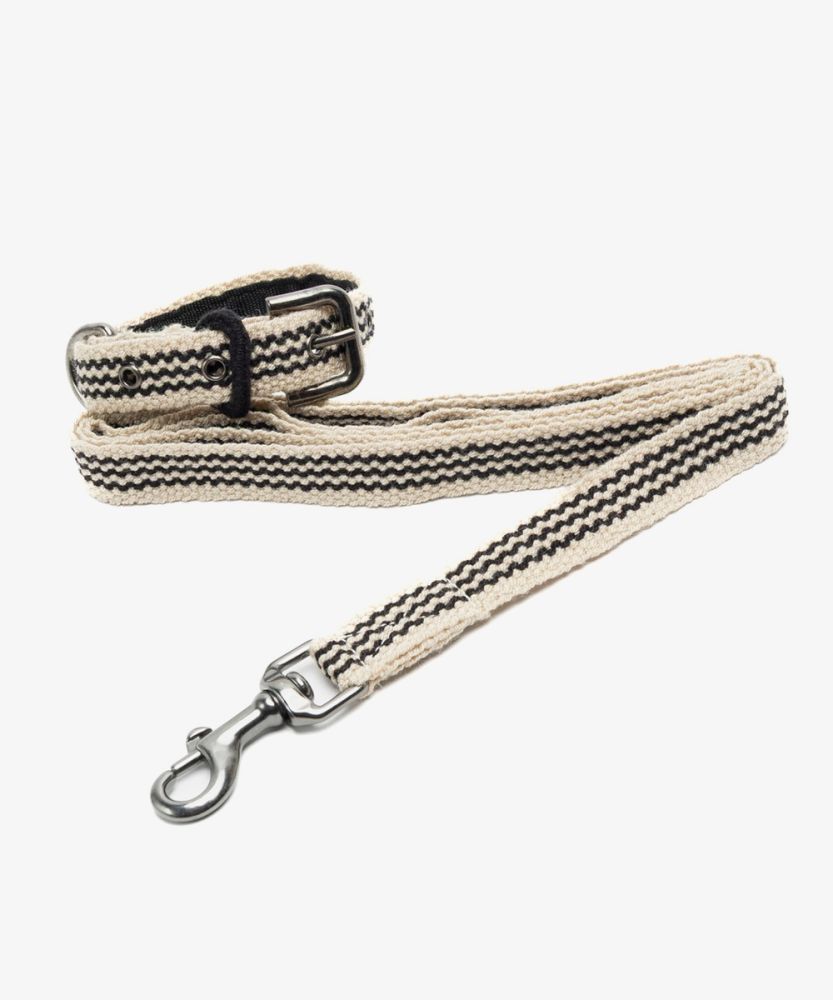 PACK DOG COLLAR + LEASH