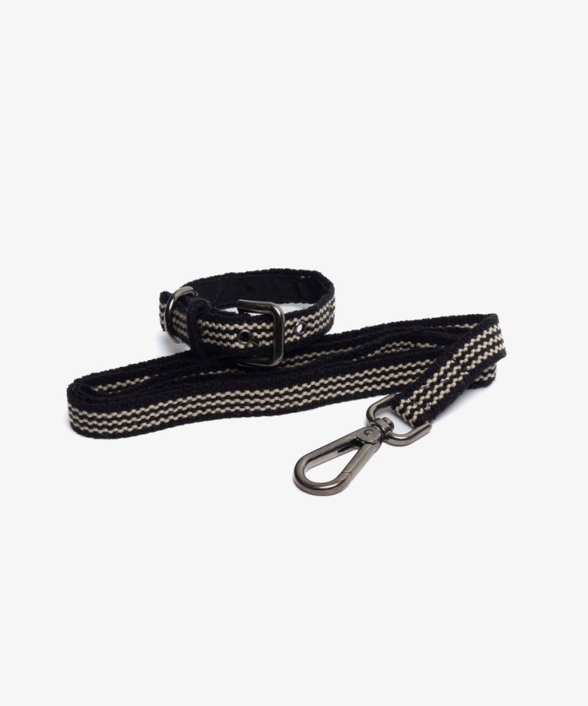 PACK DOG COLLAR + LEASH