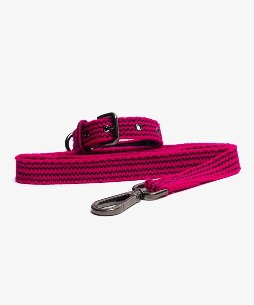 PACK DOG COLLAR + LEASH