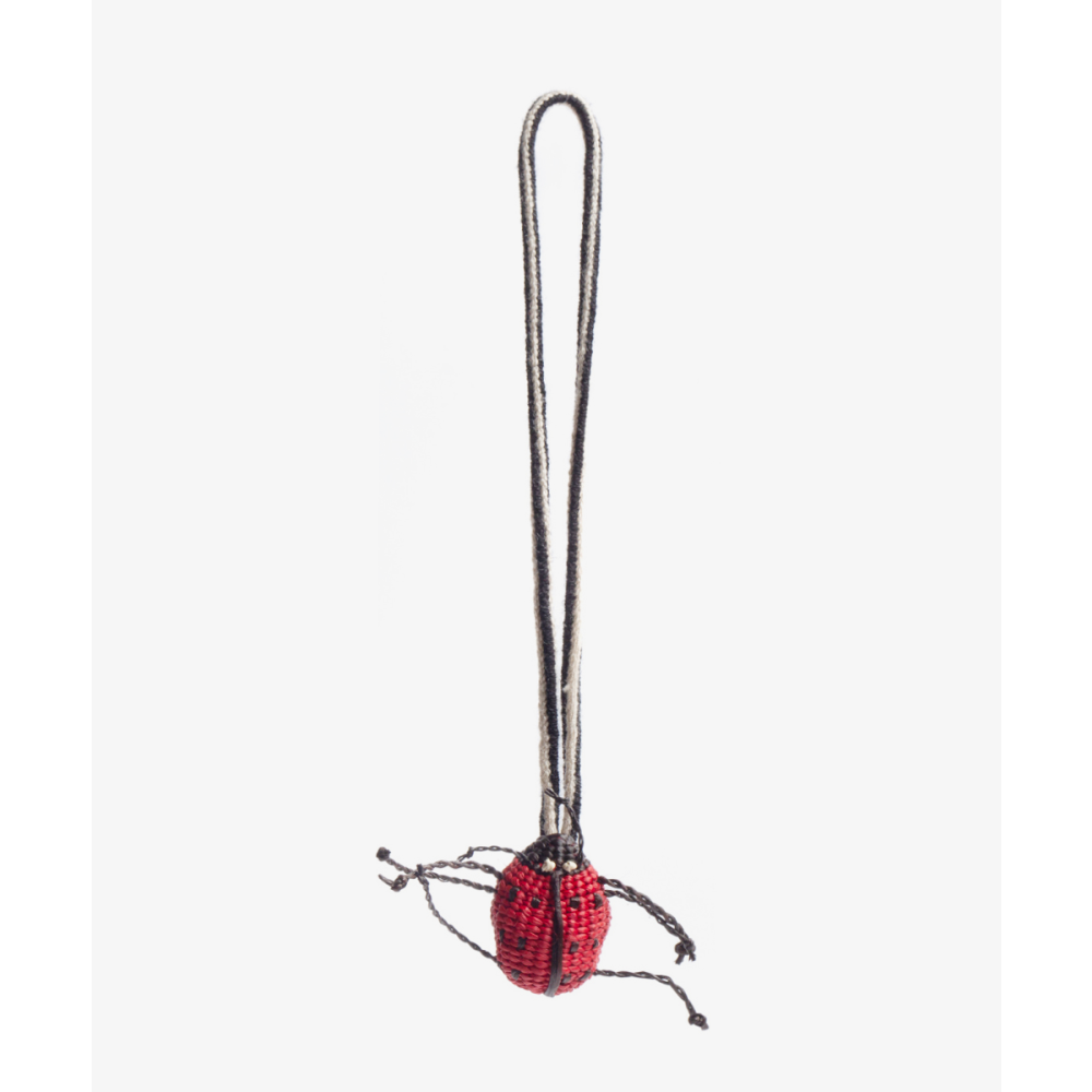 IRACA CHARM - LADYBUG