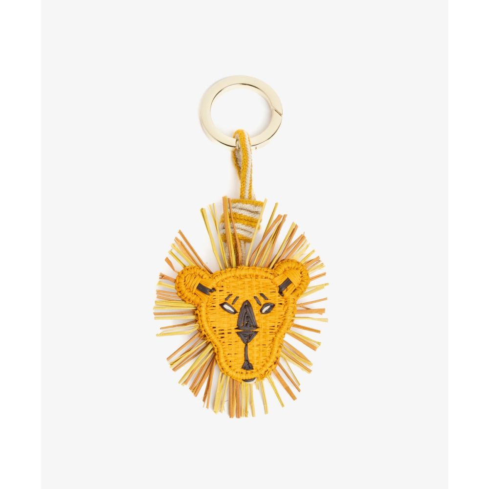 CHARM - IRACA - LION