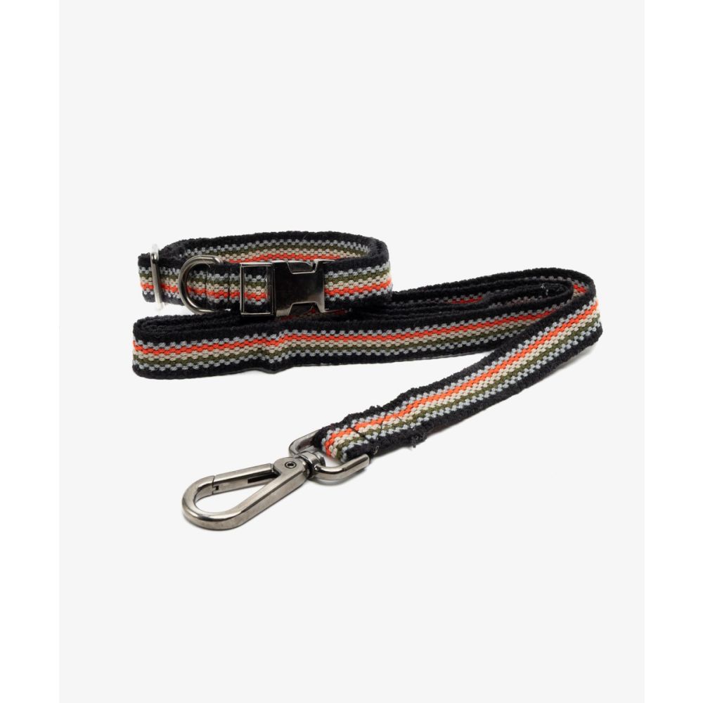 PACK DE COLLAR Y CORREA PARA PERRO PEQ 