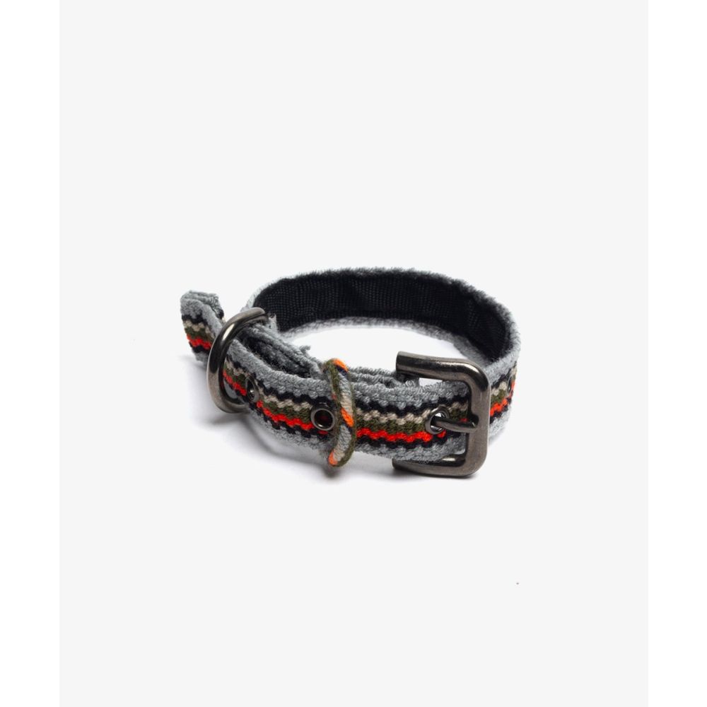 COLLAR DE PERRO PEQ/TOY