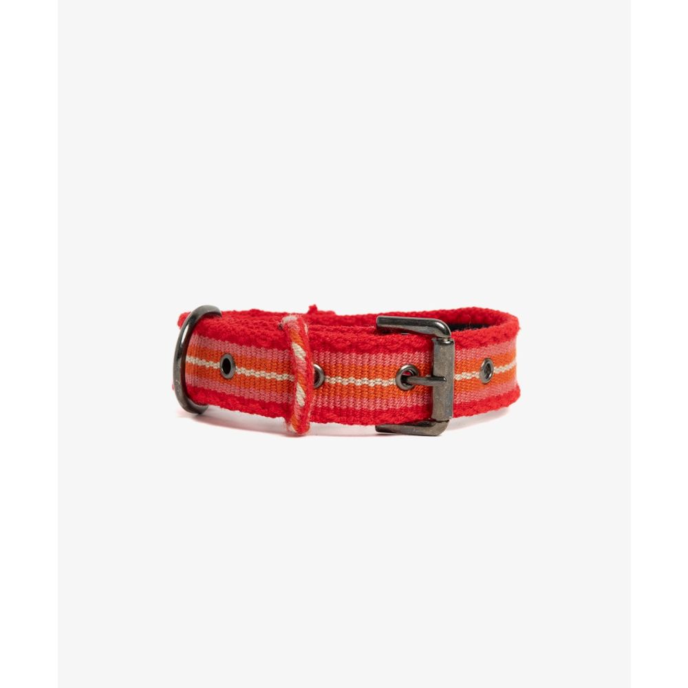 COLLAR PARA PERRO PEQ 