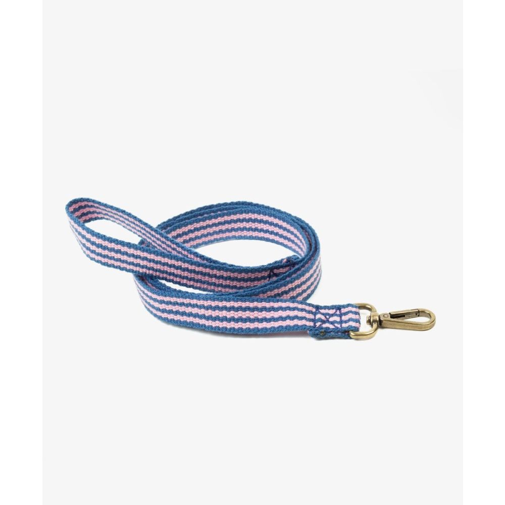 CORREA PARA PERRO MEDIANO - AZUL Y ROSA