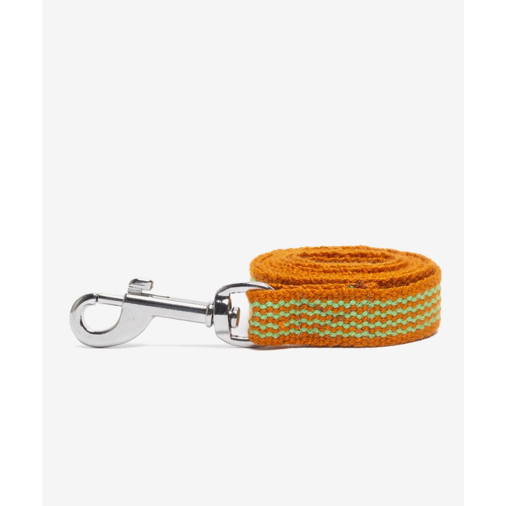 CORREA PARA PERRO TOY - NARANJA Y LIMA