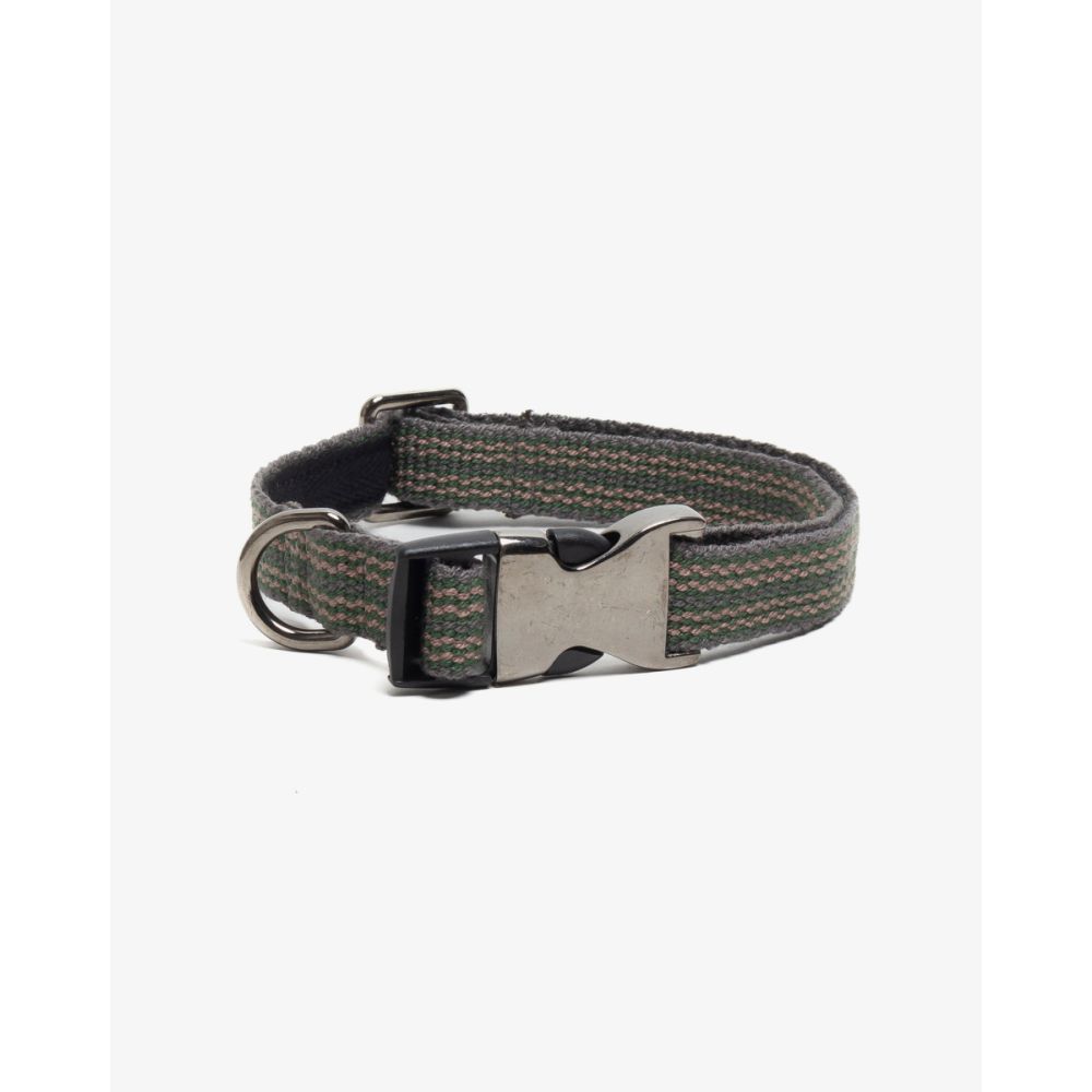 DOG COLLAR