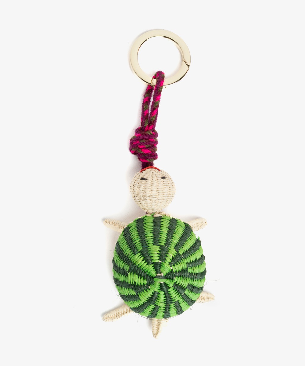 CHARM - IRACA - TORTOISE