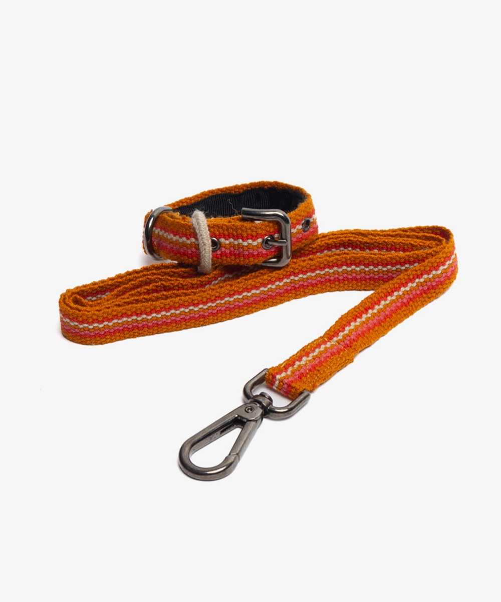 PACK DOG COLLAR + LEASH